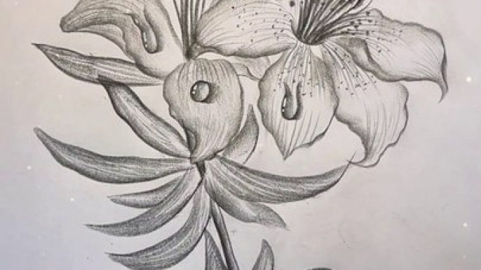 Pencil Drawing Beautiful Art Amazing Art #Artstudiolsy #pencildrawing #viralshort