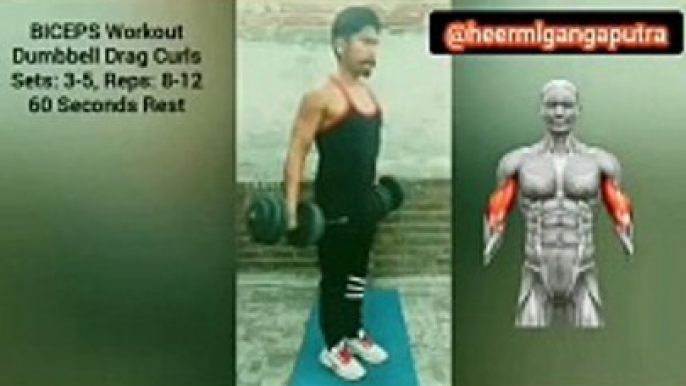 3 Best BICEP Workouts with Dumbbells  #heermlgangaputra #naturalbodybuilding #exercise #fitness #gym #muscle #training #tips