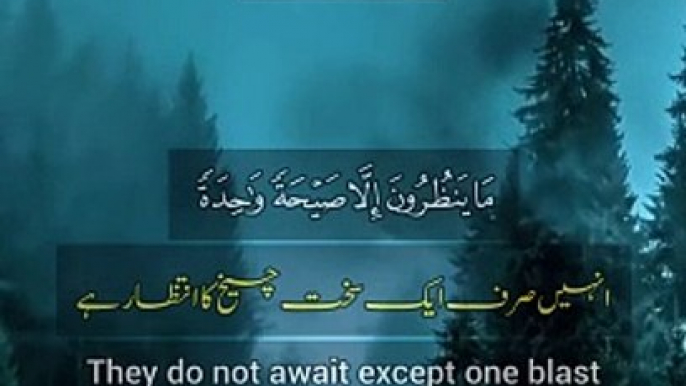 Surah Yaseen with Urdu Translation | surah Yasin Urdu Translation