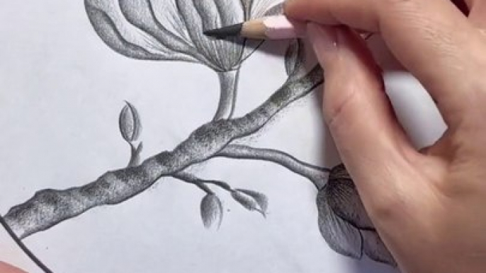 Easy create Pencil drawing || Pencil drawing easy pencil art