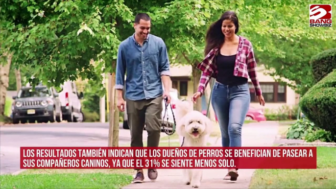 Las personas que tienen perros son más felices que las que no tienen una mascota