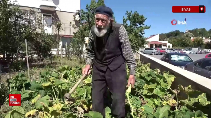 Sivas’ta 98 yaşındaki Kaya Dede enerjisiyle gençlere taş çıkartıyor