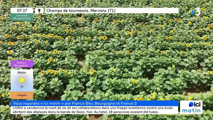 13/09/2024 - Le 6/9 de France Bleu Bourgogne en vidéo