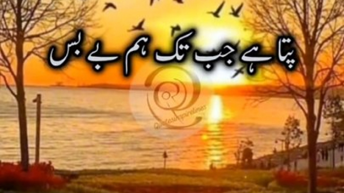 Aqwal e zareen|Urdu shayari|Islamic quotes#quotes#foryou#poetry#sadpoetry #शयर #short#viralshort