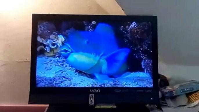 Opening to Really Wild Animals: Deep Sea Dive 1994 VHS