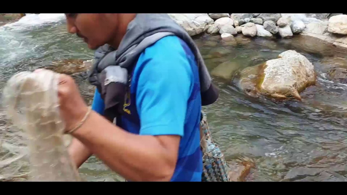 cast net fishing in small river of Nepal | asala fishing | himalayan trout fishing |