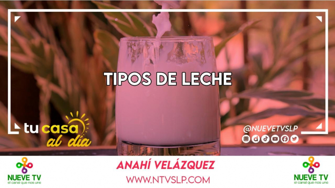 Tipos de Leche