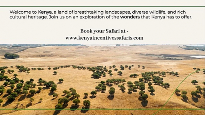 Kenya Tours and Safaris - Kenya Incentives Tours & Safaris