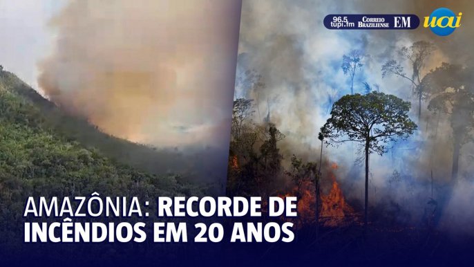 Amazônia: incêndios batem recorde de 20 anos no 1º semestre