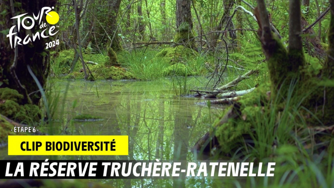 Tour de France de la biodiversité - Etape 6 - #TDF2024