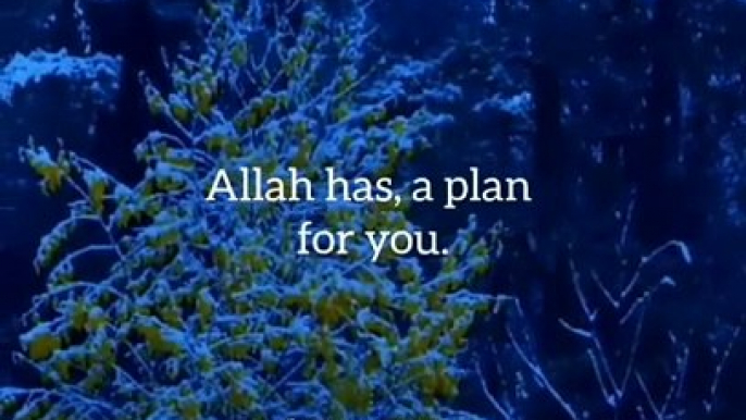 islamic video and motivation Divine Guidance: Understanding the Teachings of Islam" "Spiritual Reflections: Wisdom from the Quran and Hadit