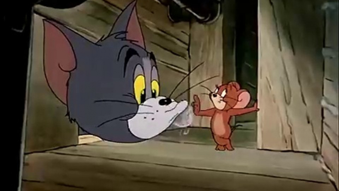 Tom_and_Jerry,Trap_happy_john_mouse