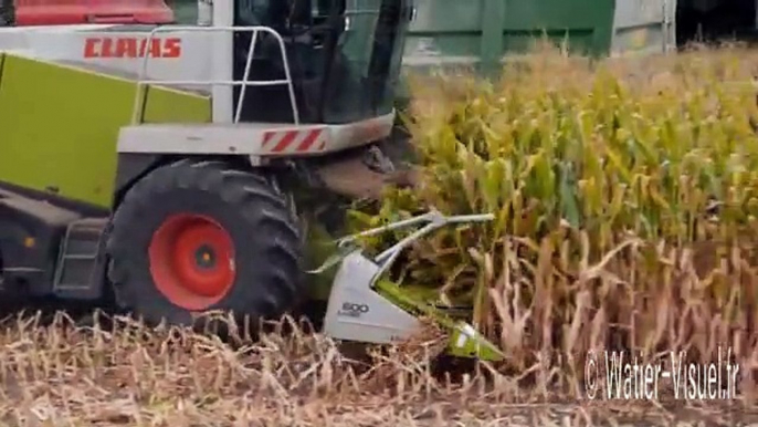 Ne pas subir le débit de chantier de l’ensileuse pour faire un silo de qualité