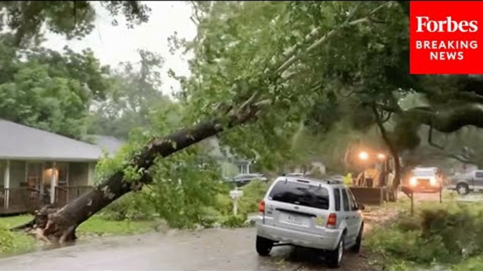 Powerful Winds From Hurricane Beryl Leave Extensive Damage In Their Wake