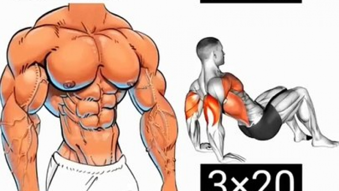 Ultimate Push Up Exercises for Sixpack, Abs & Chest Muscle workout #Abs #Chest #Muscles #pushups #exercise #workout #shoulder #lossfat