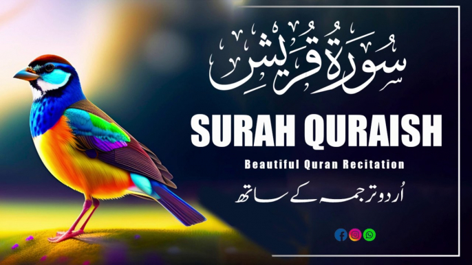 Surah Quraish  World Most Beautiful Tilawat e Quran |Amazing Recitation Of Quran |quran|Quran  |Quran Majeed