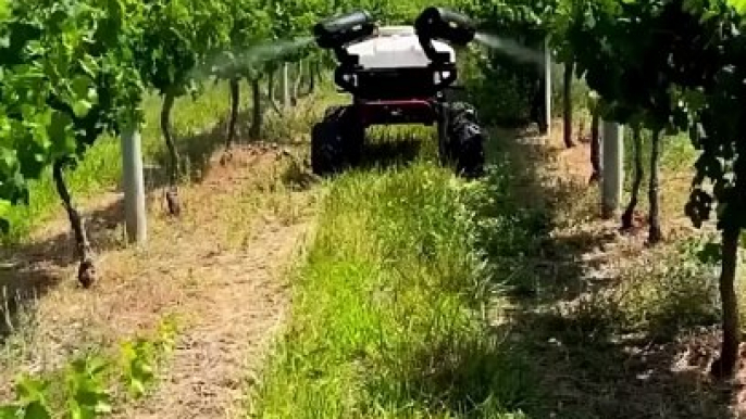 Robotic Spraying to Control Insects in Trees -- Robot Farming #shorts Introducing the groundbreaking marvel of technology- the Amazing Robotic Machine Spraying to Control Insects in Trees. This revolutionary creati