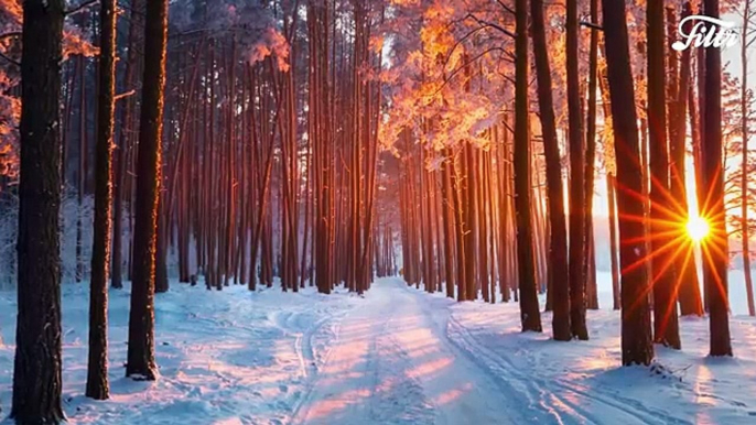 Sons da Natureza para Relaxar, Estudar e Meditar