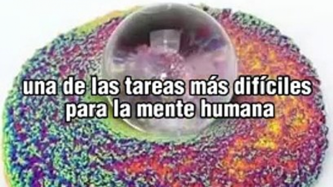 Curiosidades aleatorias #curiosidades #lasmejores #conocimiento #fy #paratii #datos