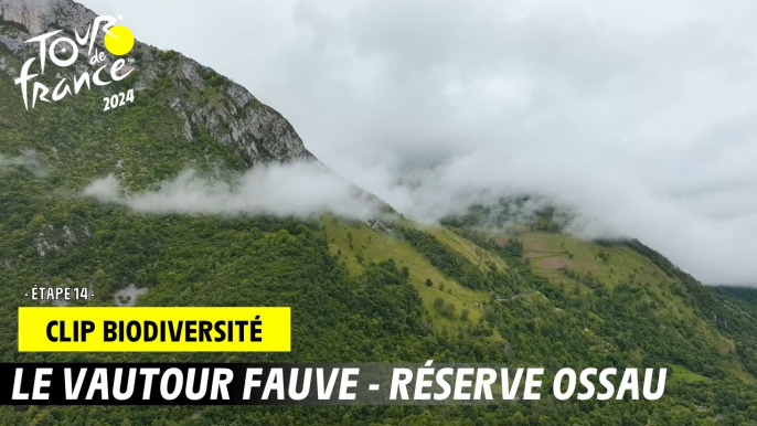 Tour de France de la biodiversité - Etape 14 - #TDF2024