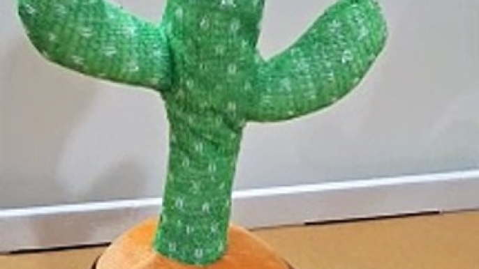 Talking Cactus Brings Bollywood Dialogues to Life