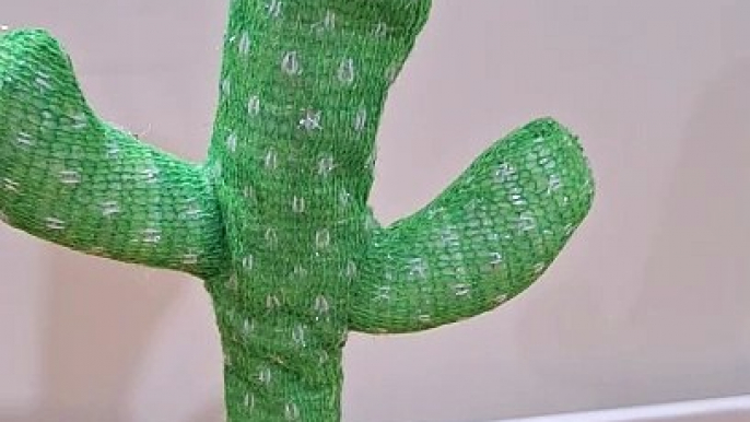 Famous Bollywood Dialogues by a Dancing Cactus!