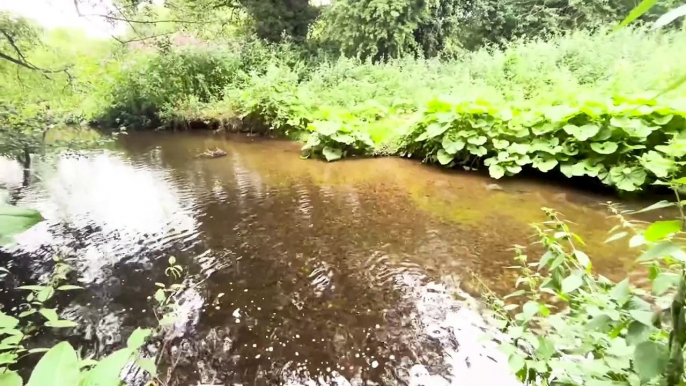 Birmingham boy aged 8 dies in River Arrow in Alcester, Warwickshire