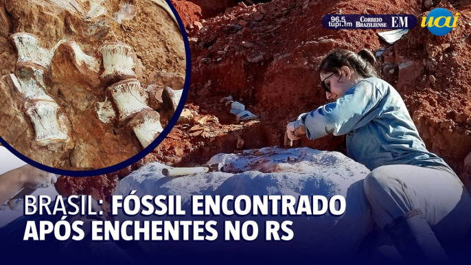 Fóssil de dinossauro é encontrado quase completo após enchentes no RS