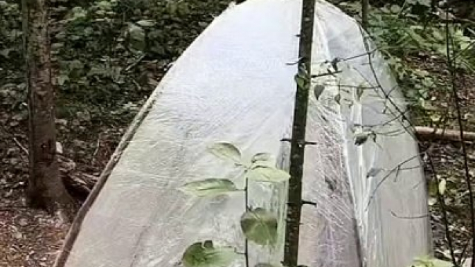 Amazing bushcraft Ideas in Heavy Rain-Solo Camping In Heavy Rain.