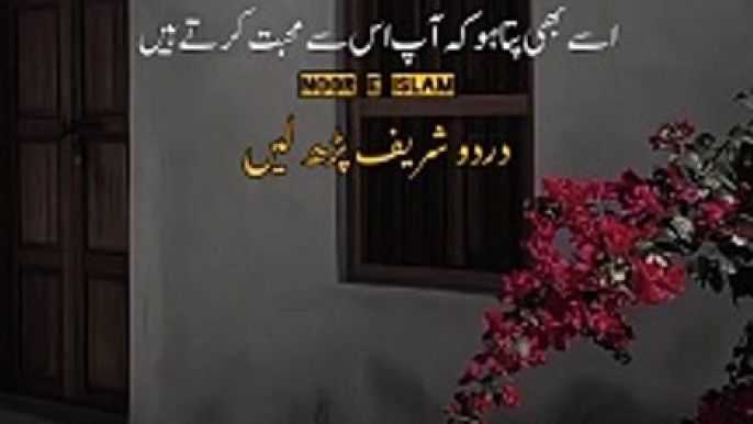 Js Sy Ap Muhbt krty Hain Usy btain | #islamicshorts #peerajmalraza #nooreislam