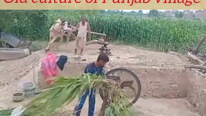 Old culture of Punjab Purana mahool in Punjab India and Pakistan beautiful village life traditional village life in Punjab