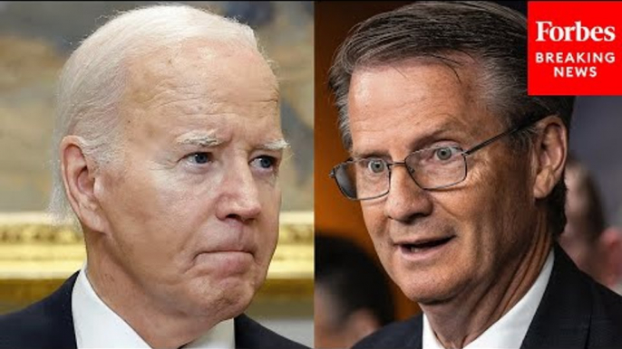 'They Don't Care What The Heck Happens To Americans': Tim Burchett Slams Biden Admin's Border Policy