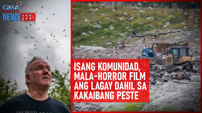 Isang komunidad, mala-horror film ang lagay dahil sa kakaibang peste | GMA Integrated Newsfeed