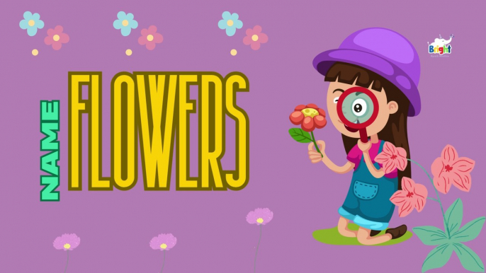 Learn Flowers Names | Flowers Names for Kids and Toddlers | kids Vocabulary | Bright Spark Station