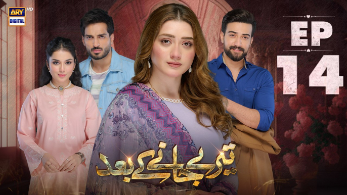 Teray Janay Kay Baad EP - 14