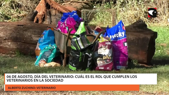 06 de agosto, Día del Veterinario cuál es el rol que cumplen los veterinarios en la sociedad