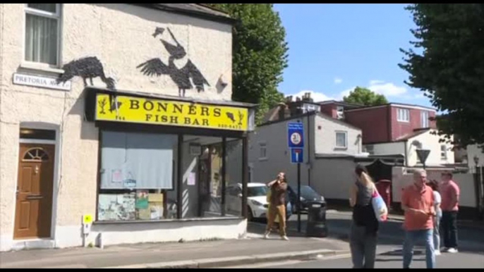 Il safari di Banksy a Londra continua con i pellicani