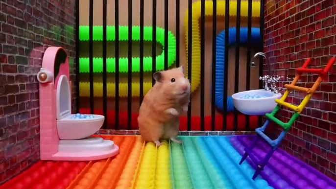 Hamster Pop It Maze Escape