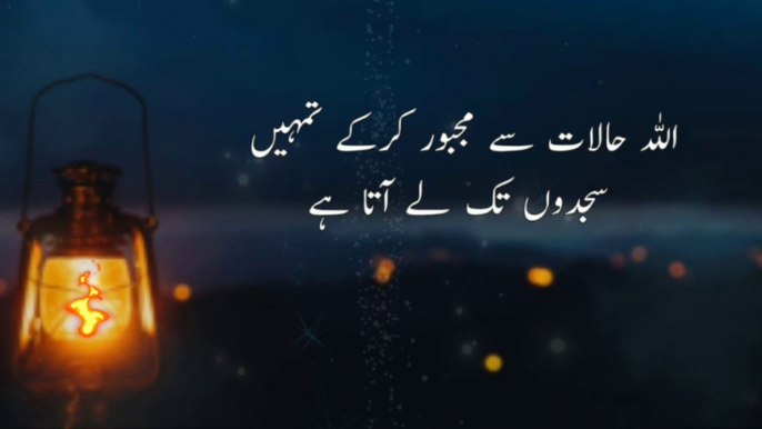 Heart Touching Quotes || Motivational Quotes || Urdu Hindi