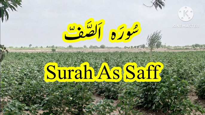 Surah As Saff | Tilawat quran | quran recitation | learn quran | beautiful tilawat |