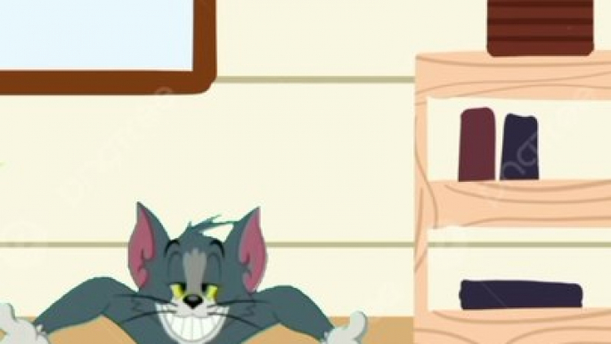 Tom Cat Play Jerry Mouse Fun | Cartoon Stories Channel | #tomandjerry