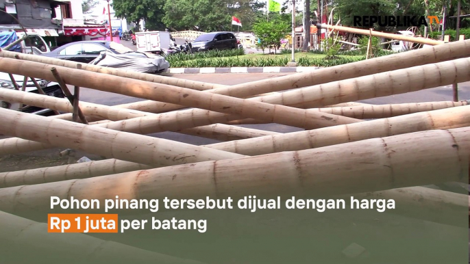 Pedagang Pohon Pinang Tuai Berkah Perayaan HUT RI