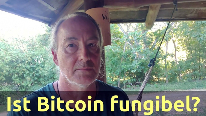 (326) Was ist fungibles Geld? Ist Bitcoin fungibel?  | AUSWANDERN & GELD