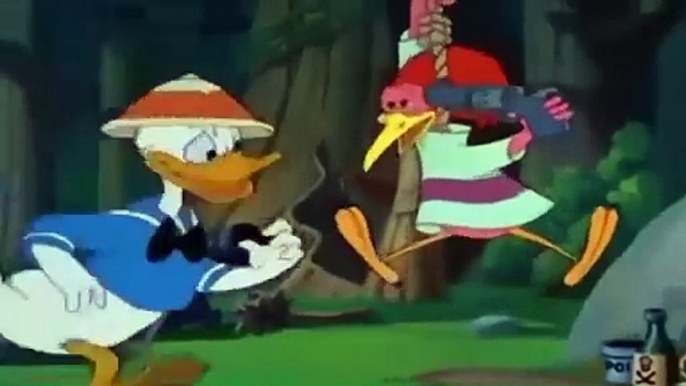 DONALD DUCK & Chip And Dale  Donald Duck Cartoons CHIP And DALE New HD 2015