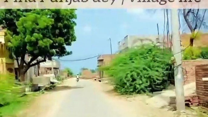 Pind Punjab dey | old village of Punjab | very beautiful village | punjab dey loge daisy culture gaon ka