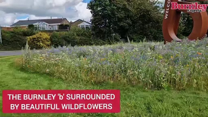 The Burnley 'b' landmark at Gannow Top surrounded by beautiful wildflowers