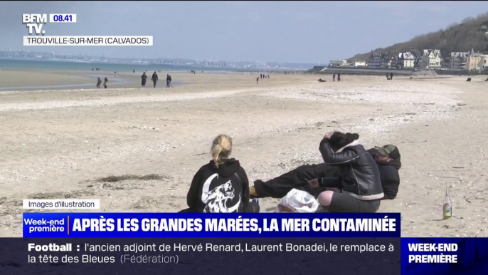 Pollution de la mer dans le Calvados: les plages de Deauville et Trouville interdites à la baignade après les grandes marrées