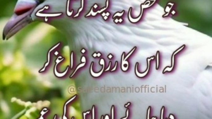 Nabi Kareem SAW Ne Irshad Farmaya /New Islamic Whatsapp Status /#quotes #motivation #status #youtub#dailymotion @dailymotion