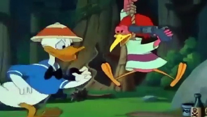 DONALD DUCK & Chip And Dale  Donald Duck Cartoons CHIP And DALE New HD 2015