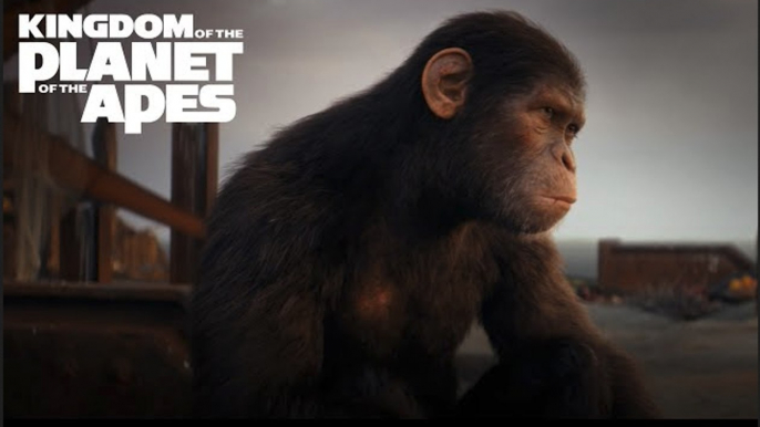 Kingdom of the Planet of the Apes | 'Bring Apes Home' - Freya Allan